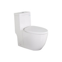 KDK HOME Elongated 6 GPF Dual-Flush Round One-Piece Toilet with 